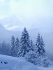 Какие народные приметы указывают на ясную погоду?
