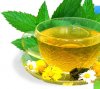 Какие недуги лечит черный чай?