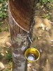 Как сшить плащ из сока?