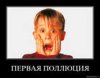 Что такое поллюции?