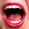 Что из себя представляет рот? Что из себя представляет рот?