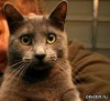 Где можно смотреть фильмы онлайн бесплатно и без регистрации?