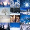 Какая должна быть погода для похода на лыжах?
