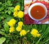 Как сварить варенье из одуванчиков?