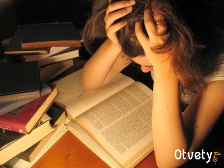 Как писать эссе по обществознанию егэ