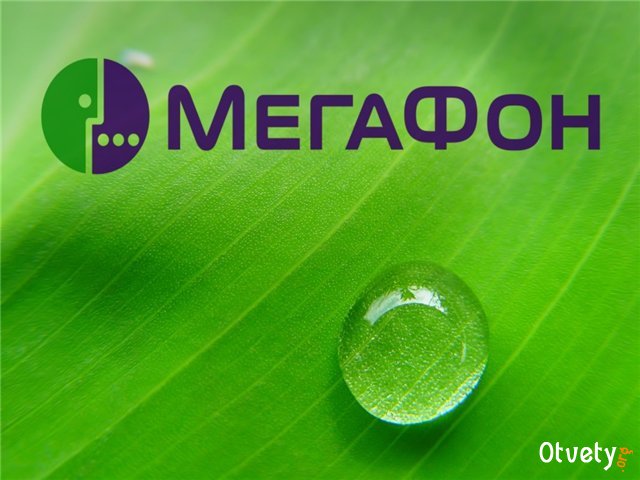 как на мегафоне отключить все платные услуги как на мегафоне отключить все платные услуги