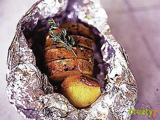 Как запекать картошку в фольге в духовке? Как вкусно и правильно приготовить картошку в фольге в духовке?