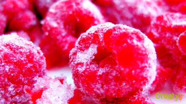 Как сварить вкусный компот из замороженных ягод. Способы заморозки ягод разных сортов, их полезные свойства и применение в кулинарии. Как сварить вкусный компот из замороженных ягод. Способы заморозки ягод разных сортов, их полезные свойства и применение в кулинарии.