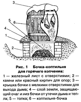 Как сделать коптильню холодного копчения из кирпича? Как сделать коптильню холодного копчения из кирпича?